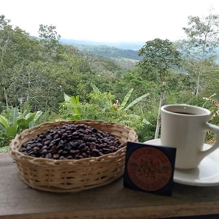 Hotel Green Mountain Turrialba Exteriér fotografie