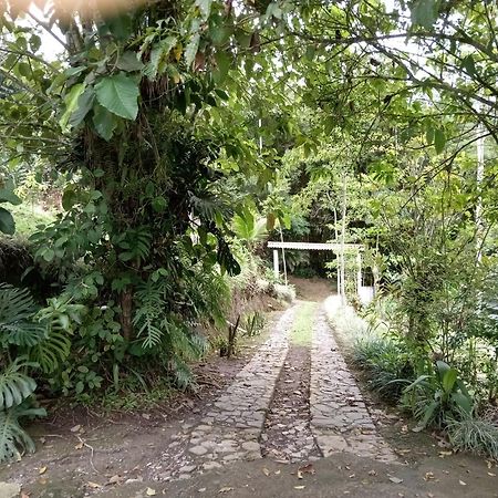 Hotel Green Mountain Turrialba Exteriér fotografie