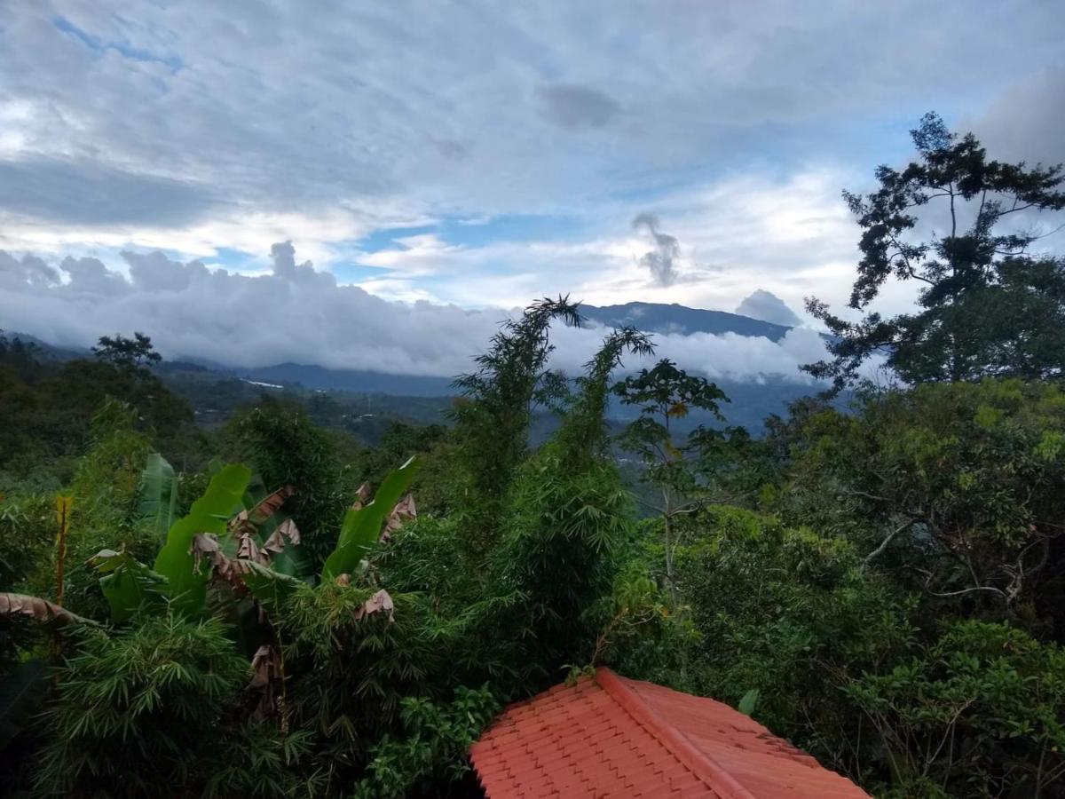 Hotel Green Mountain Turrialba Exteriér fotografie