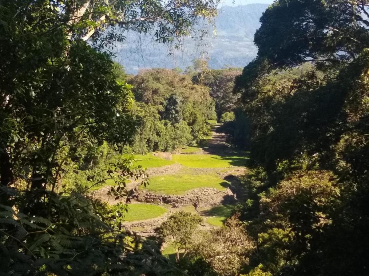 Hotel Green Mountain Turrialba Exteriér fotografie