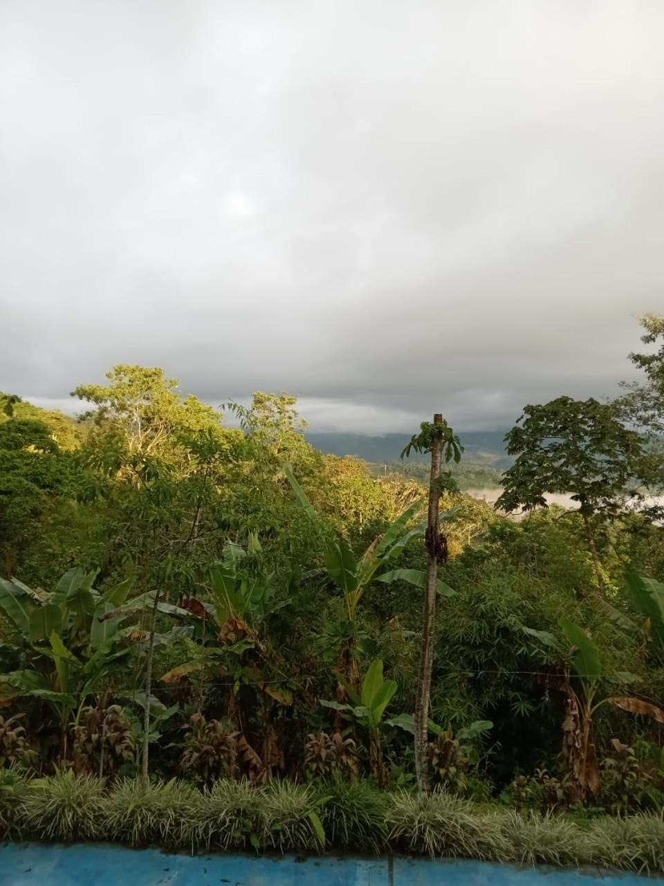 Hotel Green Mountain Turrialba Exteriér fotografie