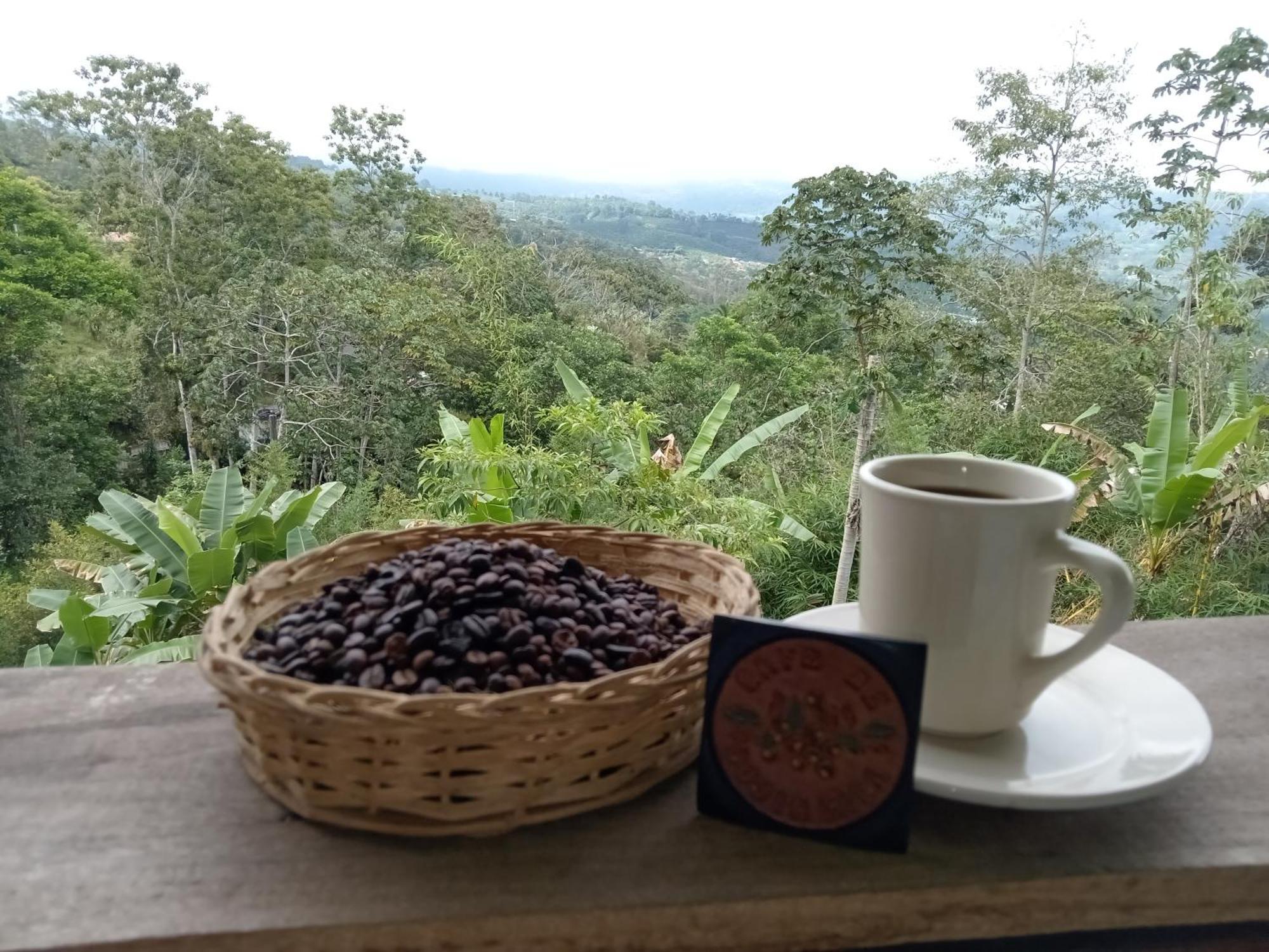 Hotel Green Mountain Turrialba Exteriér fotografie