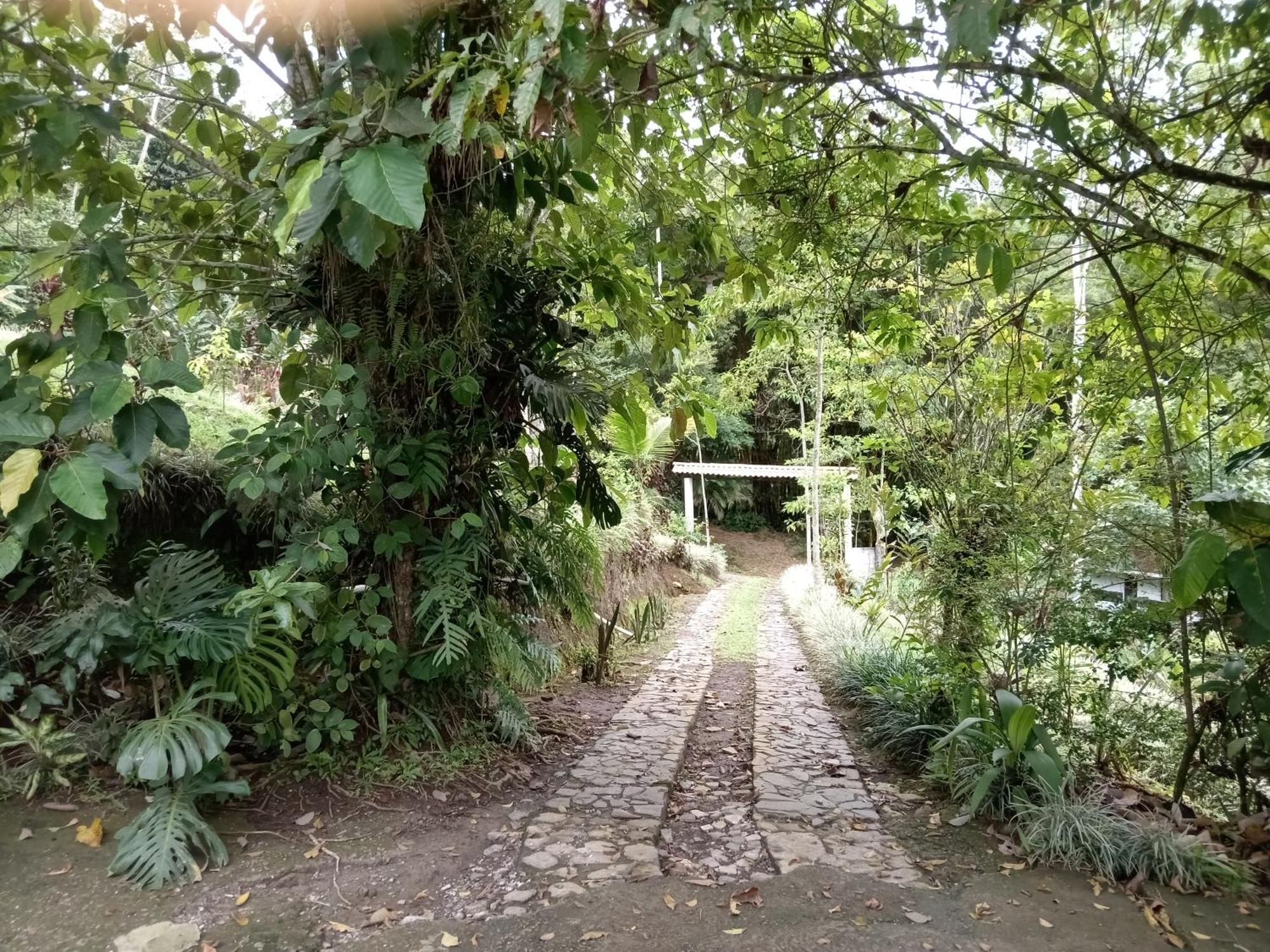 Hotel Green Mountain Turrialba Exteriér fotografie