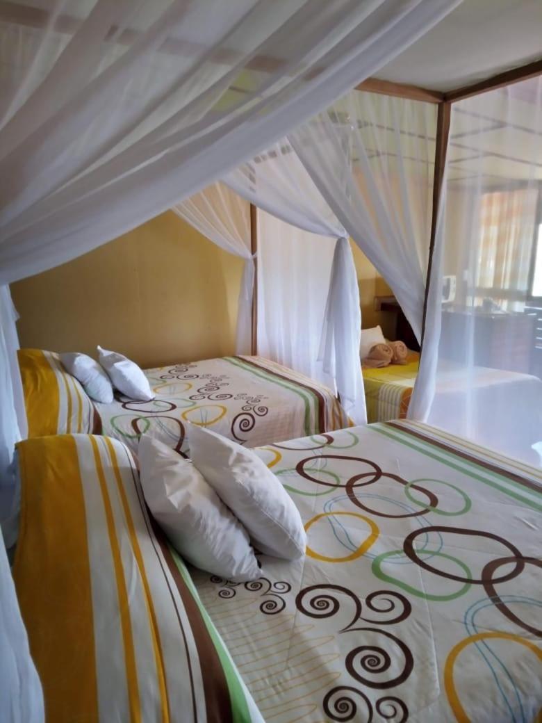 Hotel Green Mountain Turrialba Exteriér fotografie