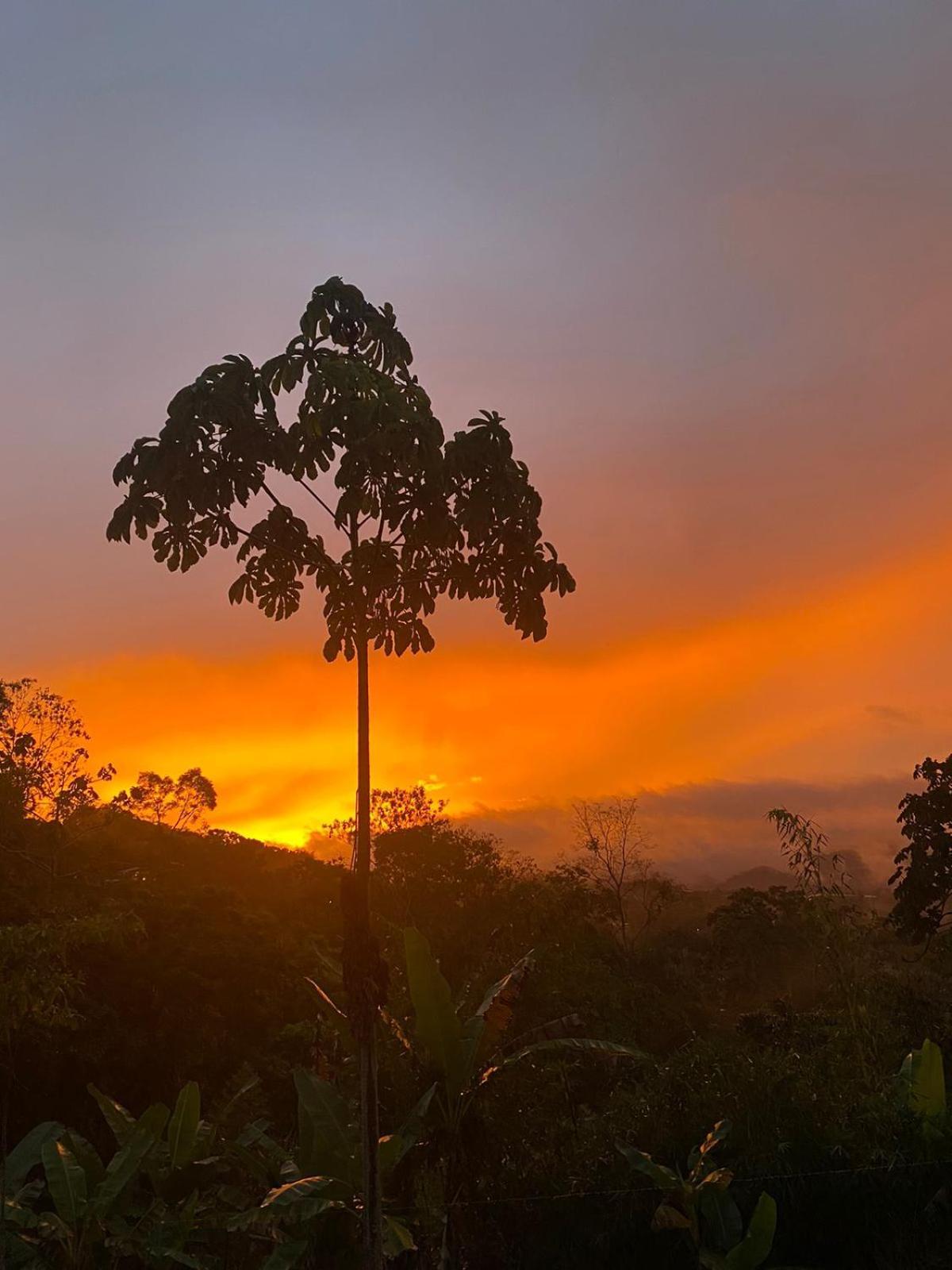 Hotel Green Mountain Turrialba Exteriér fotografie