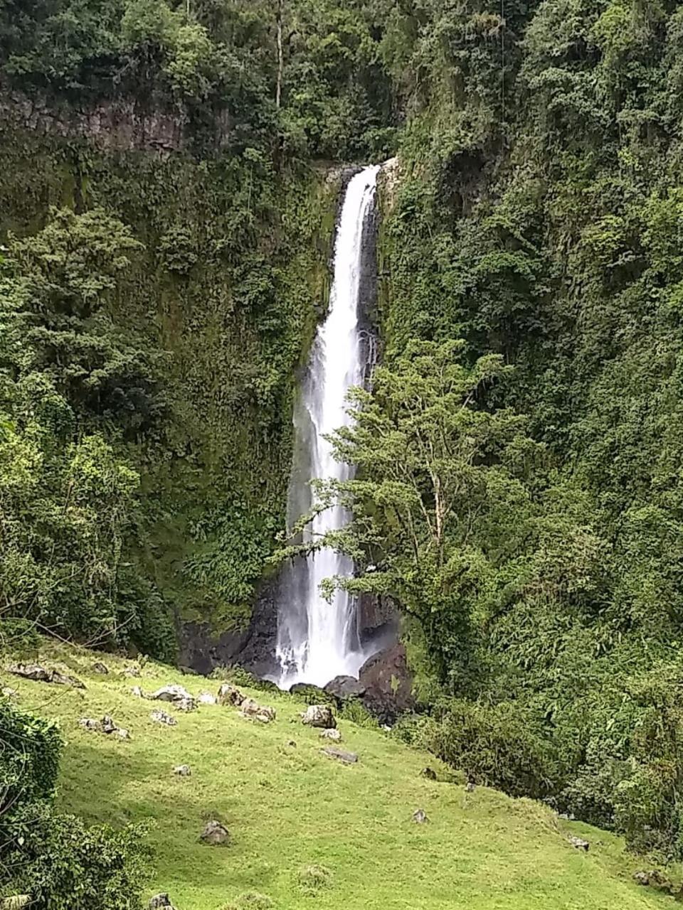 Hotel Green Mountain Turrialba Exteriér fotografie